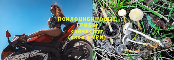 хмурый Балахна