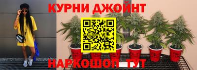 стафф Жуковский