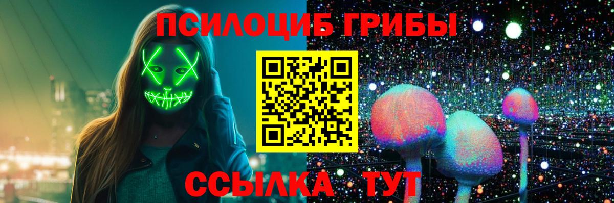 где купить наркоту  Вход с VPN  Мурманск  Галлюциногенные грибы Psilocybe 